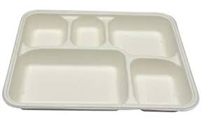 Bagasse Meal Tray 5 CP