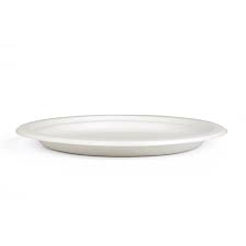 10 inch Bagasse Round Plate