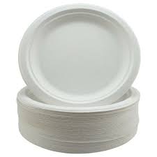 10 inch Bagasse Round Plate