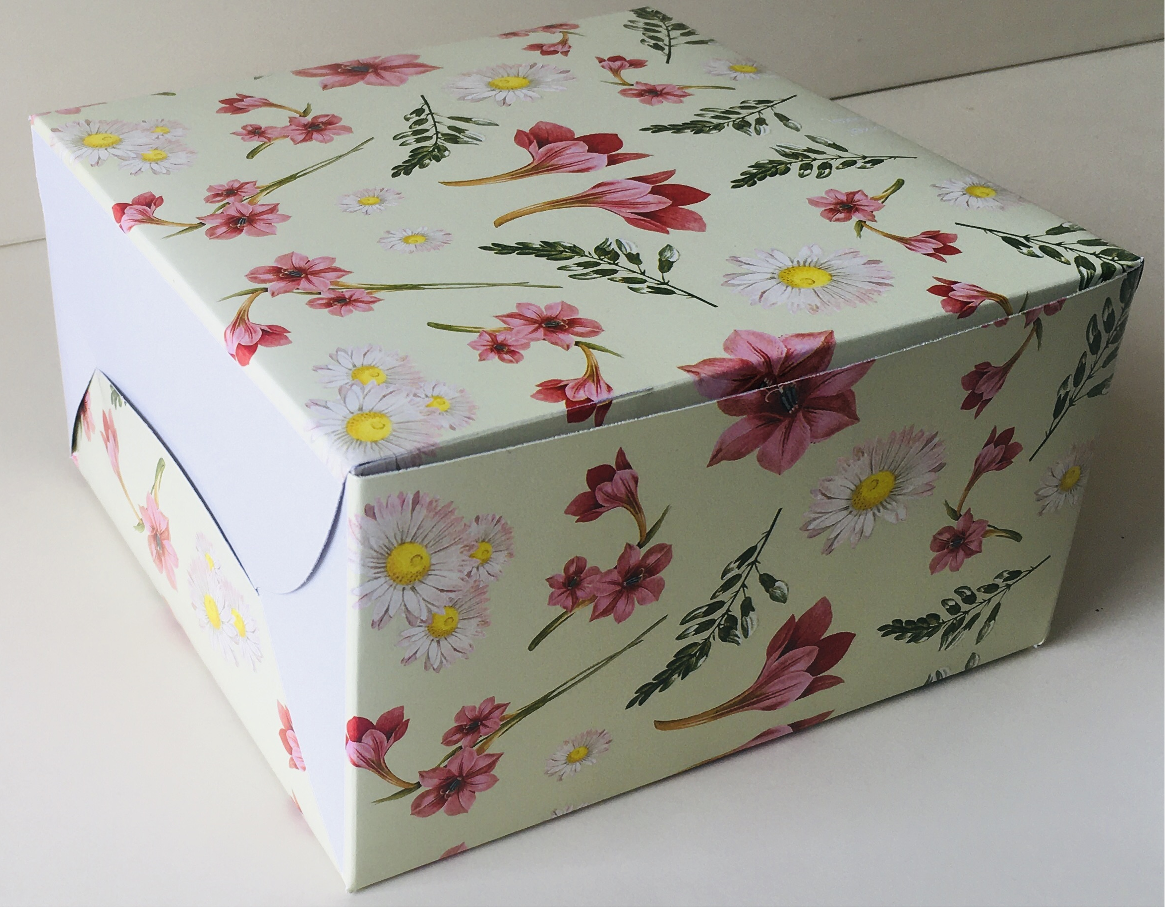 Best Cake Box Packaging Company in Bangalore | Cake Box Manufacturer Near me